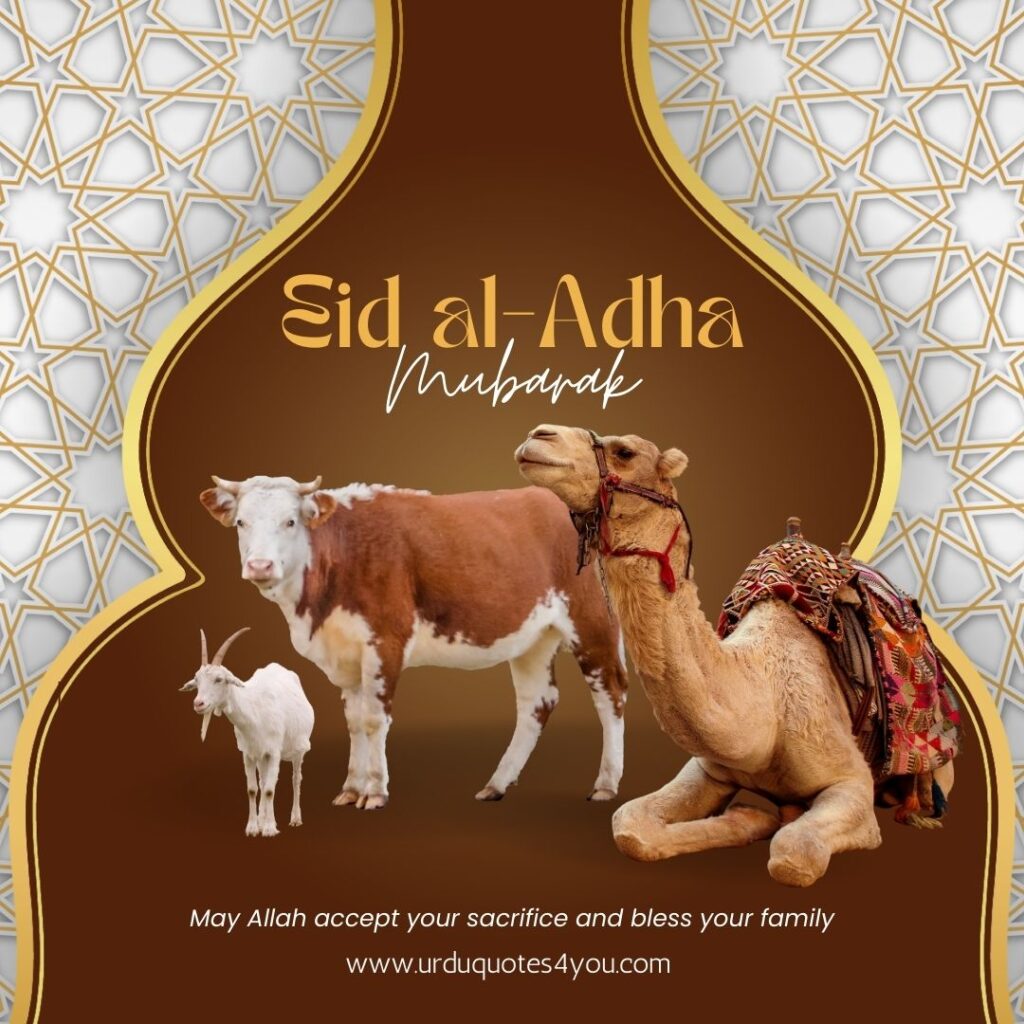 this image shows Eid ul Adha